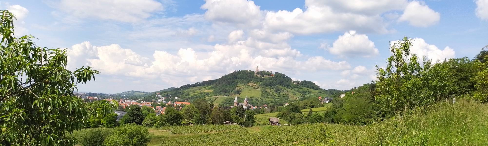 Blick von den Weinlagen zur Starkenburg